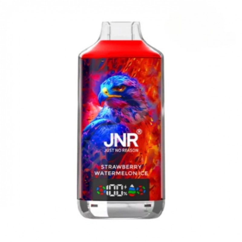 JNR Falcon X 18000 Puffs Einweg Vape 24ml