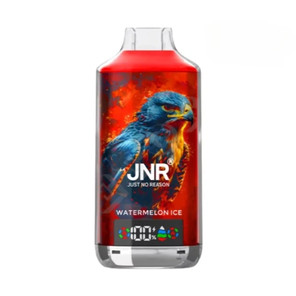 JNR Falcon X 18000 Puffs Einweg Vape 24ml