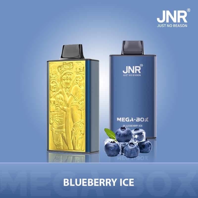JNR Mega Box 25000 Puffs Wiederaufladbarer Einweg Vape
