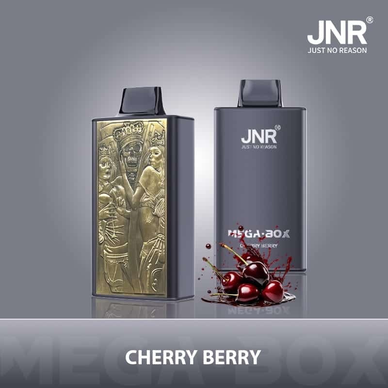 JNR Mega Box 25000 Puffs Wiederaufladbarer Einweg Vape