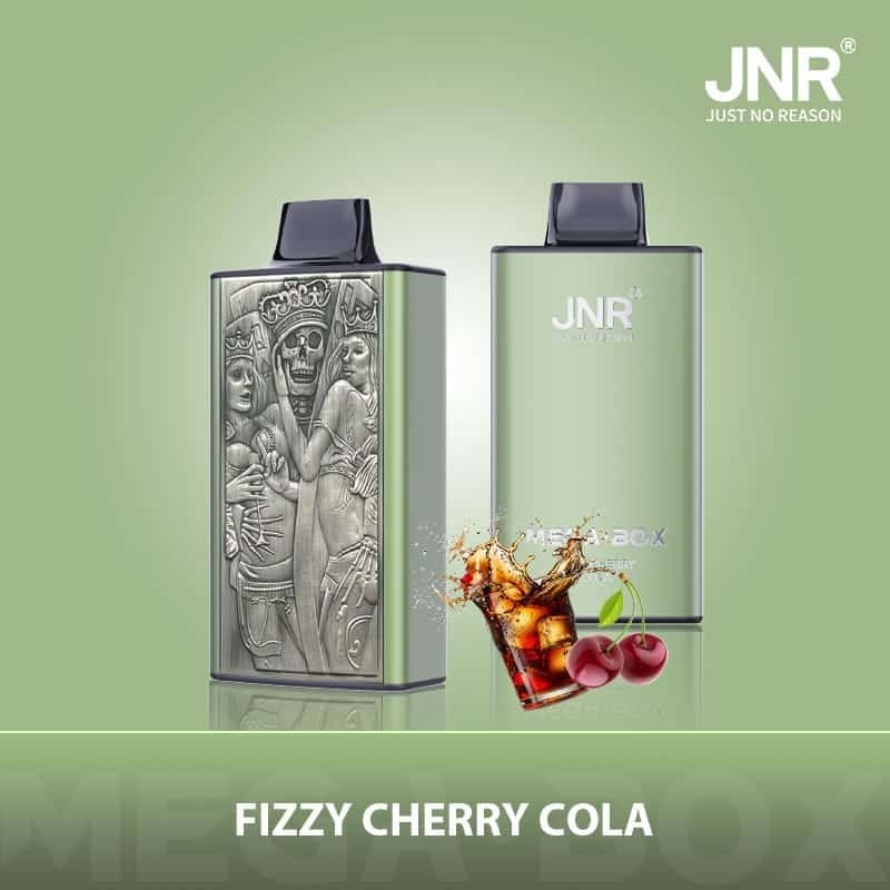 JNR Mega Box 25000 Puffs Wiederaufladbarer Einweg Vape
