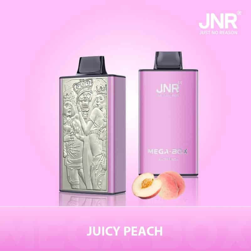 JNR Mega Box 25000 Puffs Wiederaufladbarer Einweg Vape
