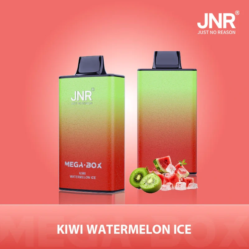 JNR Mega Box 25000 Puffs Wiederaufladbarer Einweg Vape