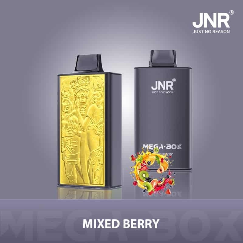 JNR Mega Box 25000 Puffs Wiederaufladbarer Einweg Vape