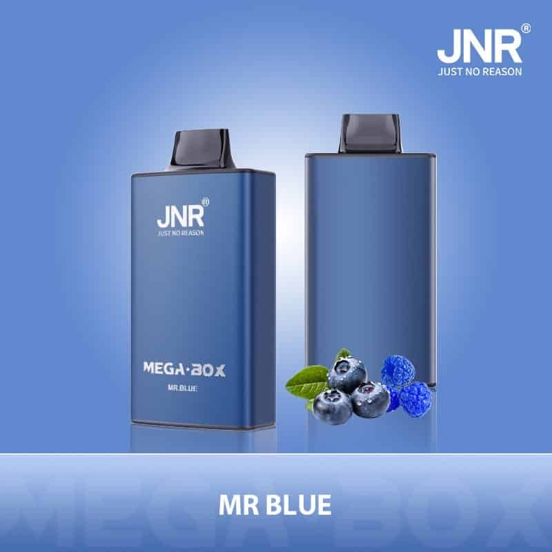 JNR Mega Box 25000 Puffs Wiederaufladbarer Einweg Vape
