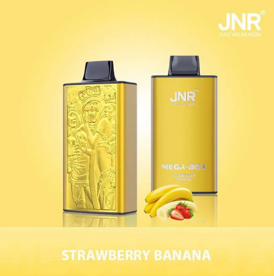JNR Mega Box 25000 Puffs Wiederaufladbarer Einweg Vape