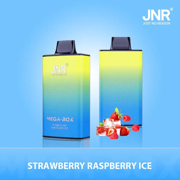 JNR Mega Box 25000 Puffs Wiederaufladbarer Einweg Vape