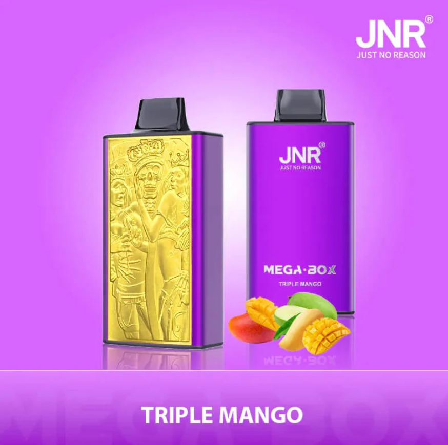 JNR Mega Box 25000 Puffs Wiederaufladbarer Einweg Vape
