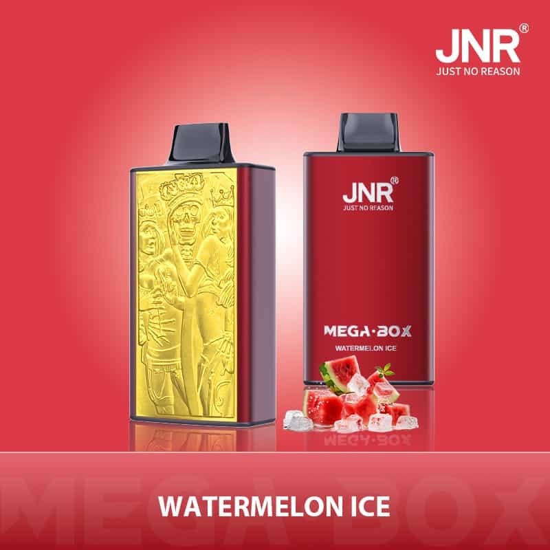 JNR Mega Box 25000 Puffs Wiederaufladbarer Einweg Vape