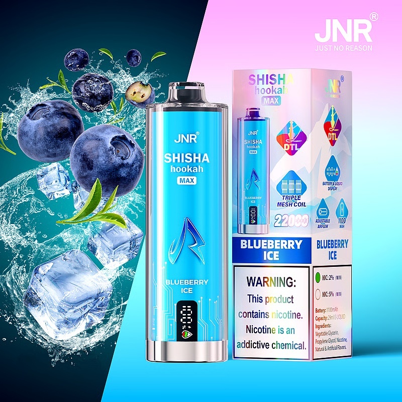JNR Shisha Hookah Max 22000 Puffs Einweg Kit 29ml (10 Stück/Box)