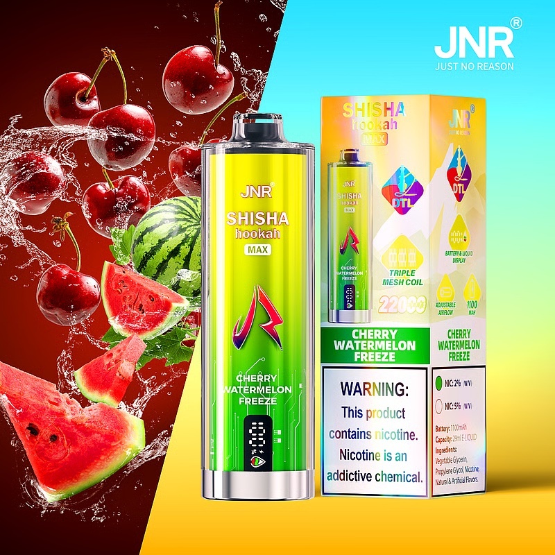 JNR Shisha Hookah Max 22000 Puffs Einweg Kit 29ml (10 Stück/Box)