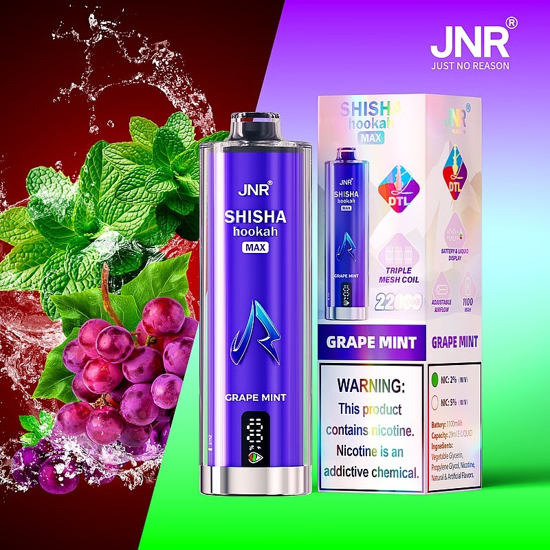 JNR Shisha Hookah Max 22000 Puffs Einweg Kit 29ml (10 Stück/Box)