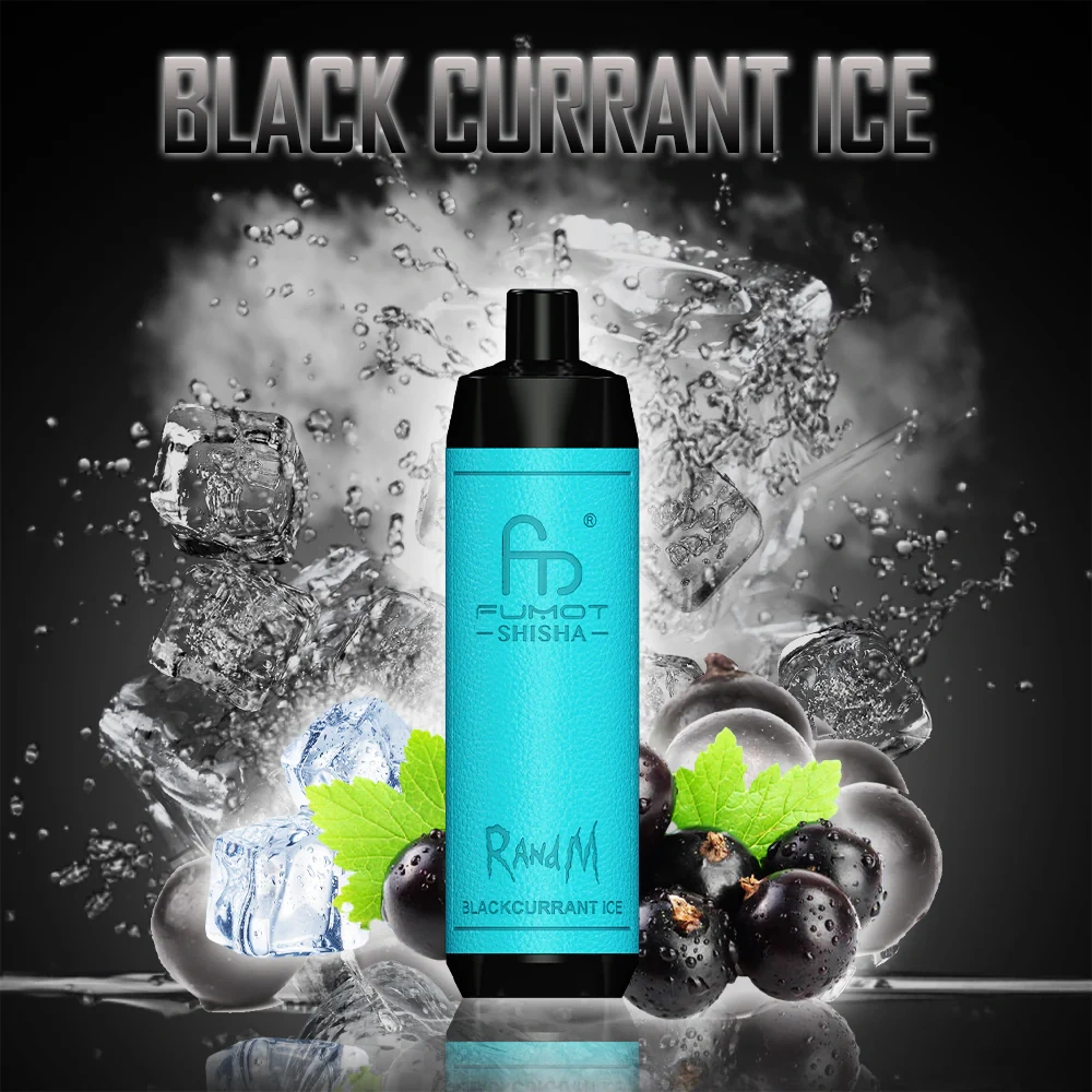 Fumot RandM Shisha 10000 Puffs Einweg Kit