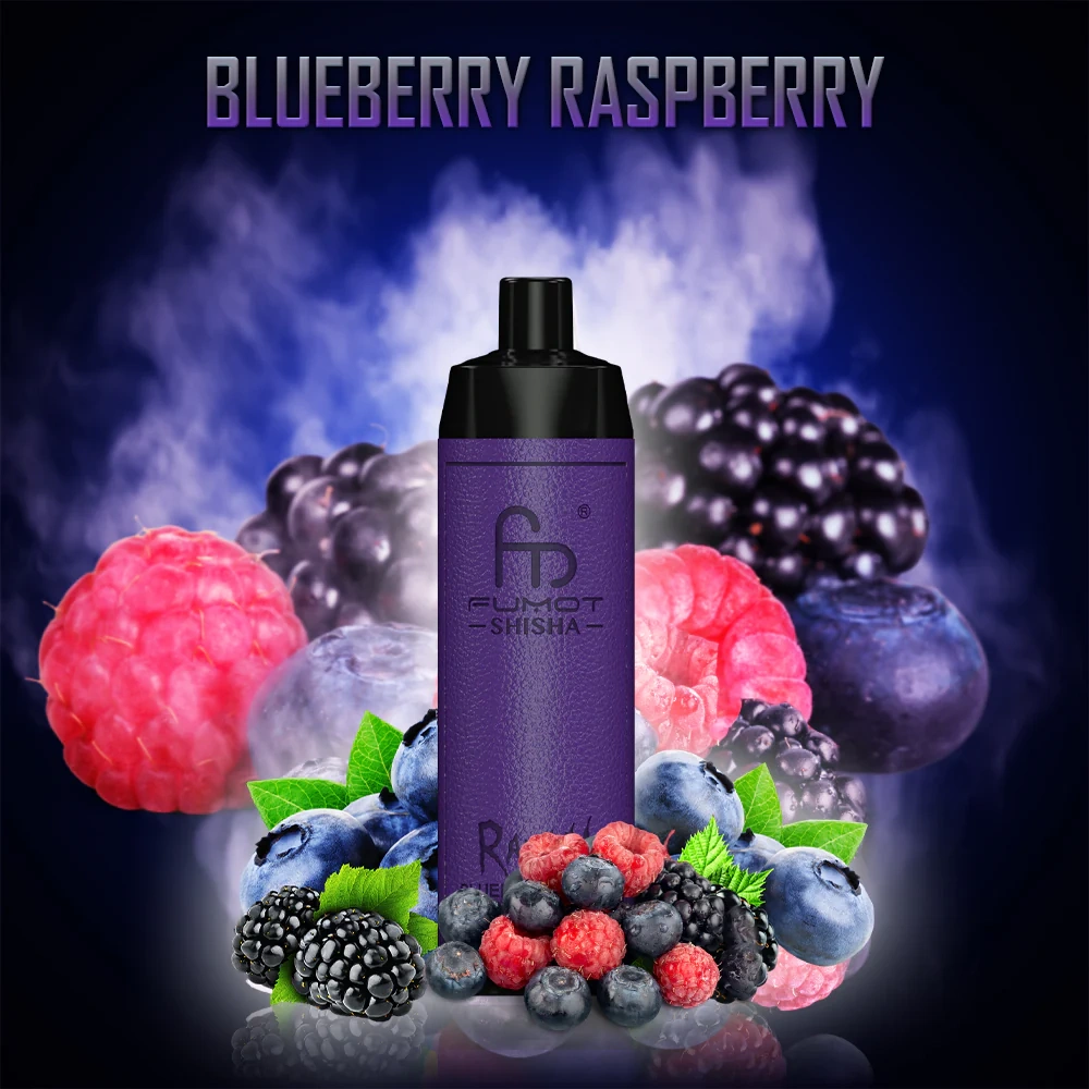 Fumot RandM Shisha 10000 Puffs Einweg Kit