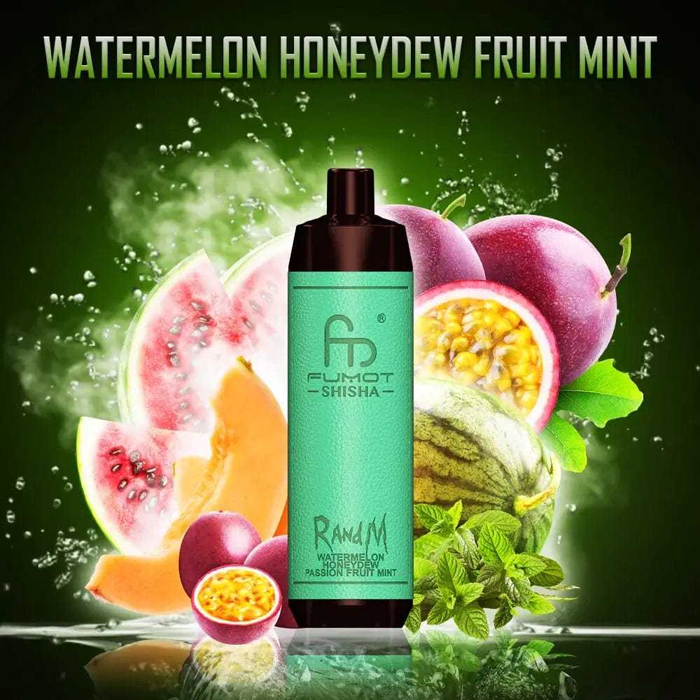 Fumot RandM Shisha 10000 Puffs Einweg Kit