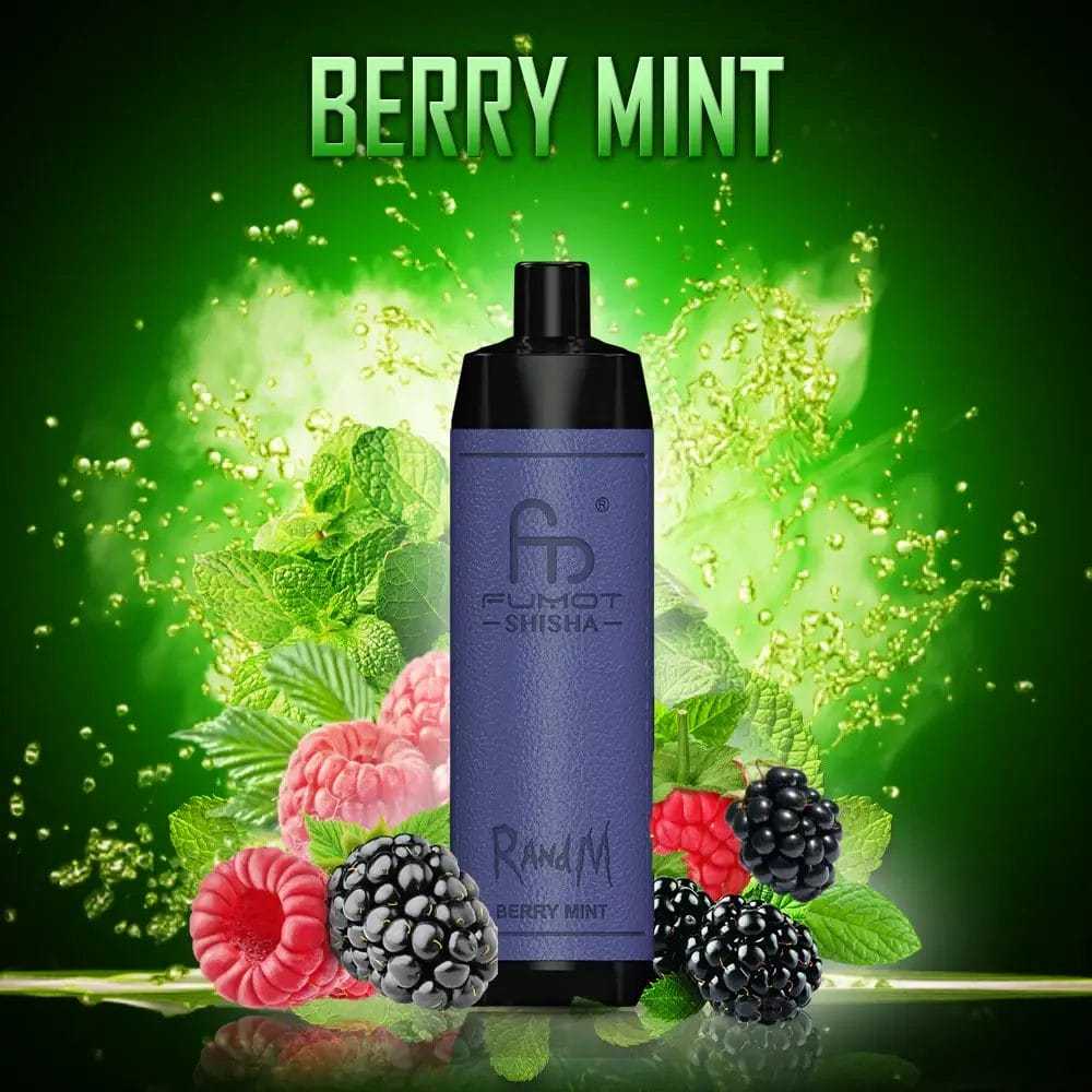 Fumot RandM Shisha 10000 Puffs Einweg Kit