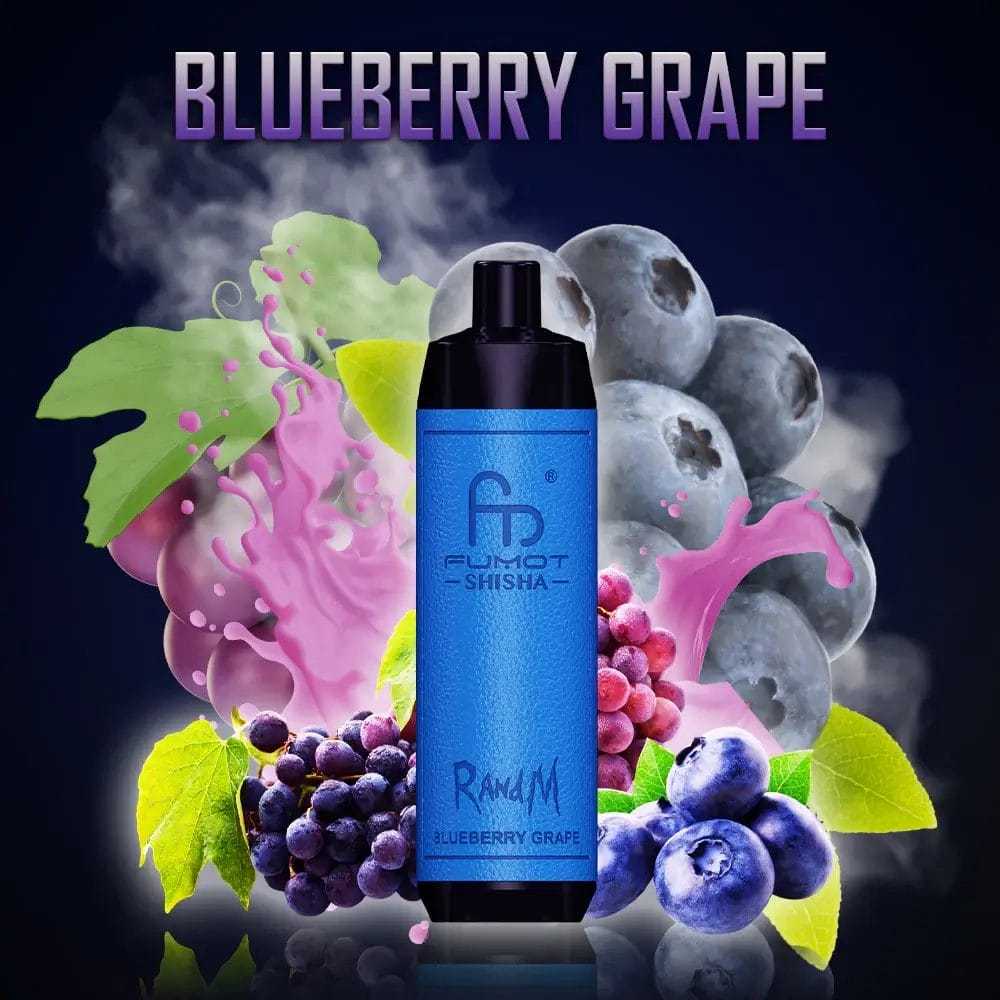 Fumot RandM Shisha 10000 Puffs Einweg Kit