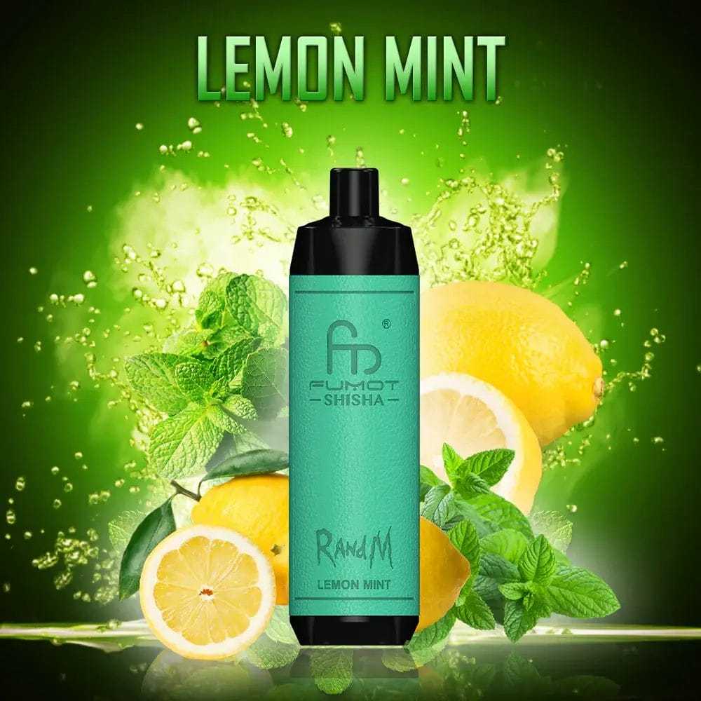 Fumot RandM Shisha 10000 Puffs Einweg Kit