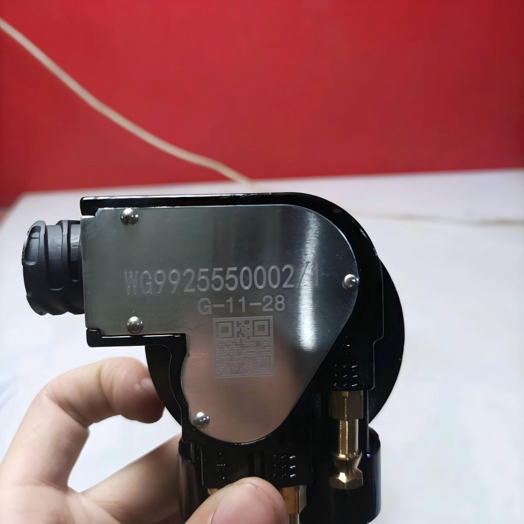 Oil level sensor★WG9925550002