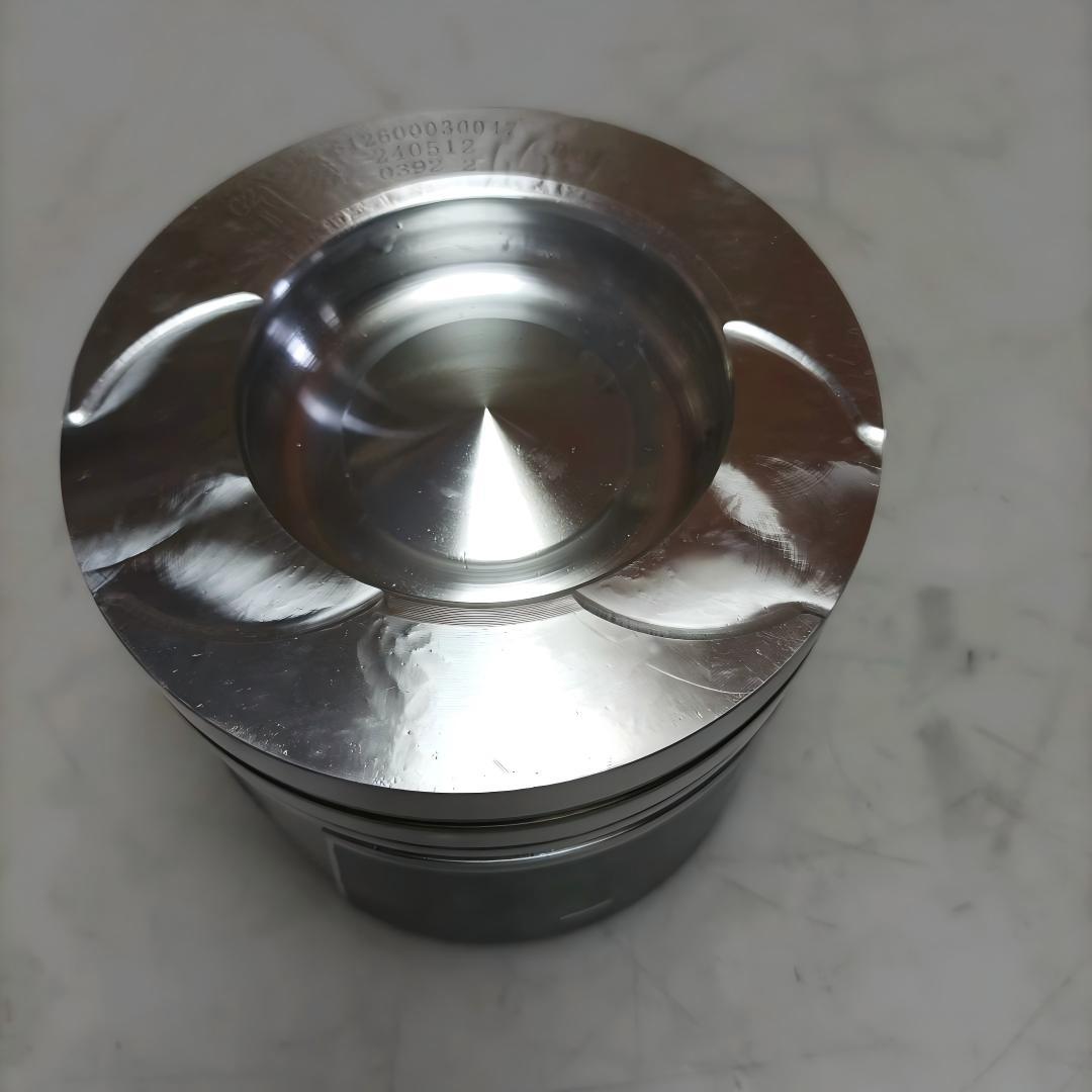 Piston assembly★612600030047