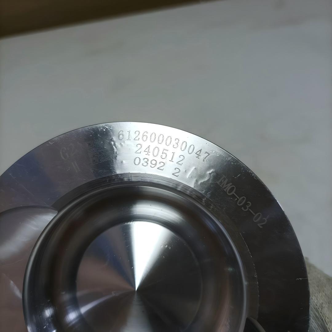 Piston assembly★612600030047