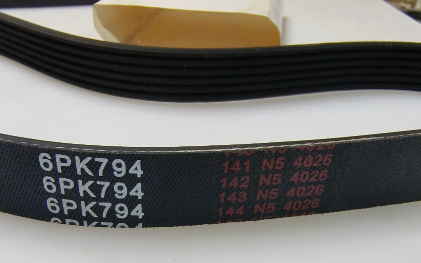 Belt 6PK794★★★VG2600020258