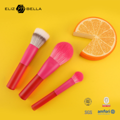 Brand Eliz & Bella All-in-One Makeup Brush Set – 16PCS Premium Tools for Face, Eyes & Lips