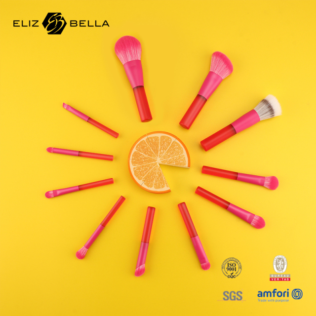 Brand Eliz & Bella All-in-One Makeup Brush Set – 16PCS Premium Tools for Face, Eyes & Lips