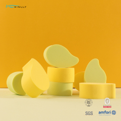 The Luxury Blend Sponge，From Base to Blend – Tools That Speak Your Brand