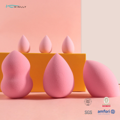 OEM Latex-Free Sponge – Full Packaging & Logo Customization