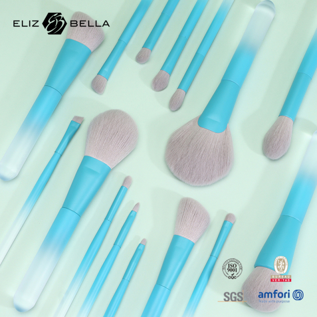 Fully Customizable Synthetic Brushes With Professional Quality – Clear PVC Box & Plastic Handle, OEM/ODM Available