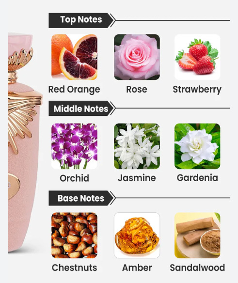 808de345-1a58-404f-8953-74e3c5