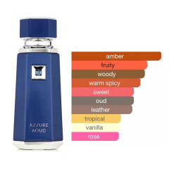 Cross-border trade Liquid Brun By Fragrance 100ml Middle East Dubai Arabian perfume wholesale