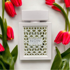 NOW Arabia's hot-selling perfume for men and women, Dubai, Vietnam, Southeast Asia, e-commerce, cross-border wholesale, foreign trade