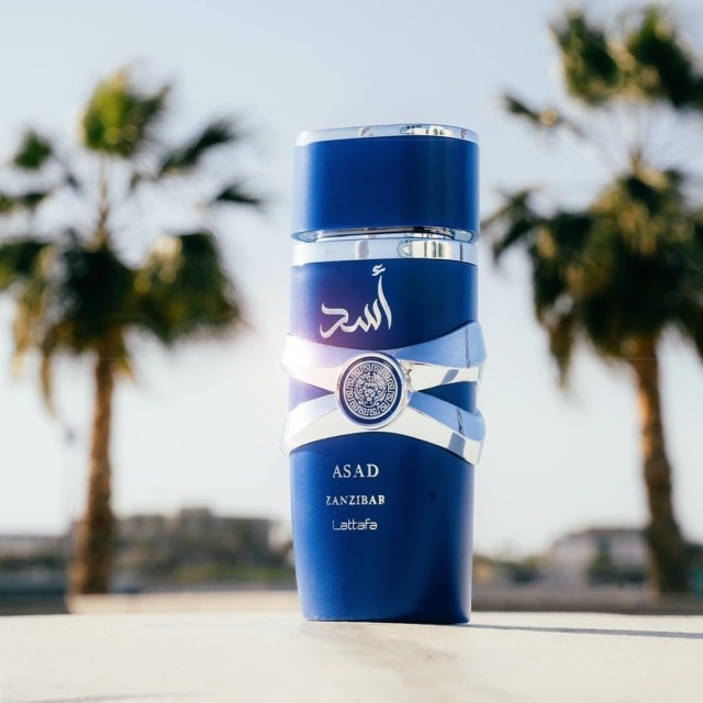 Lattafa Asad Zanzibar for Men Eau de Parfum, a popular men's fragrance