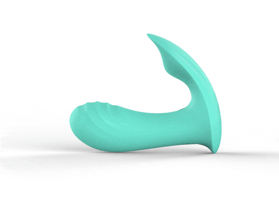 Dolphins