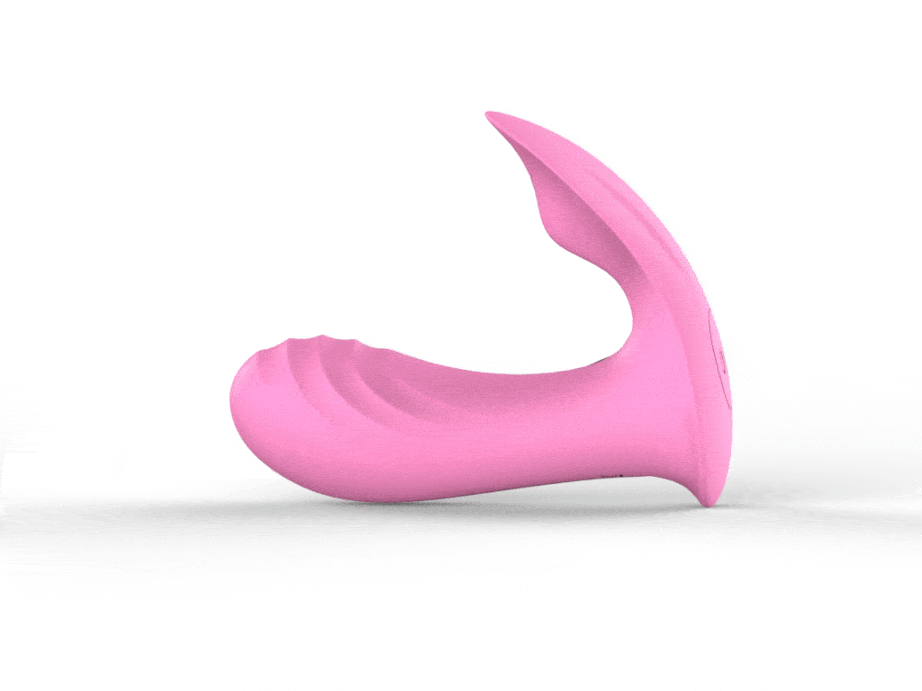 Dolphins