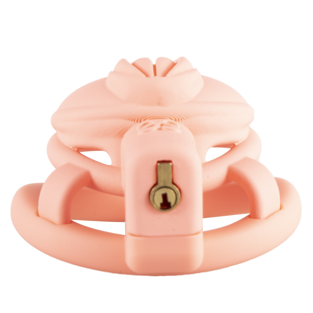 Chastity lock