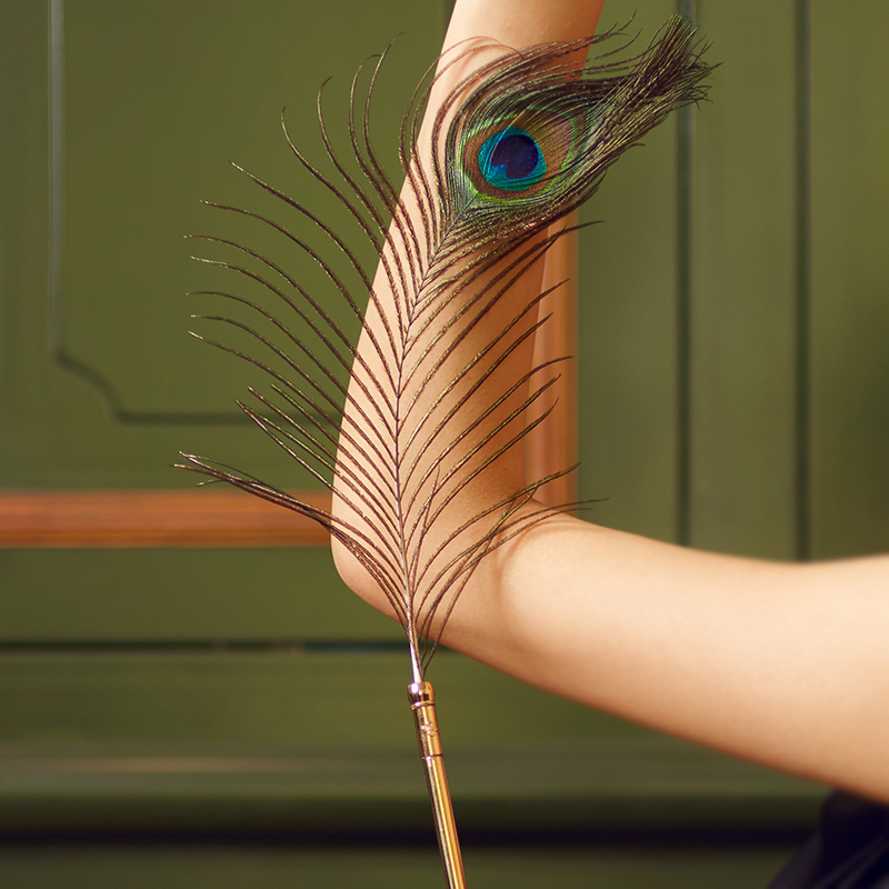 Teasing Feather