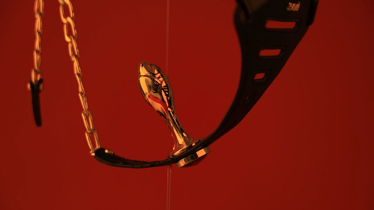 Chastity belt