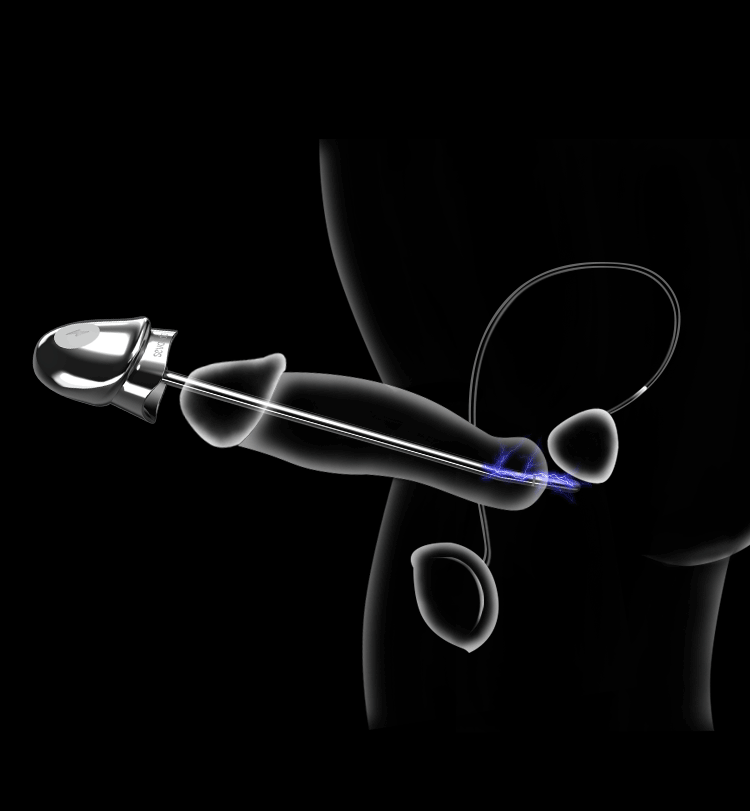 Electric shock stick