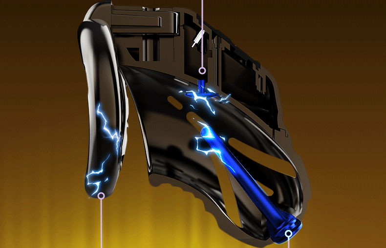Electric eel