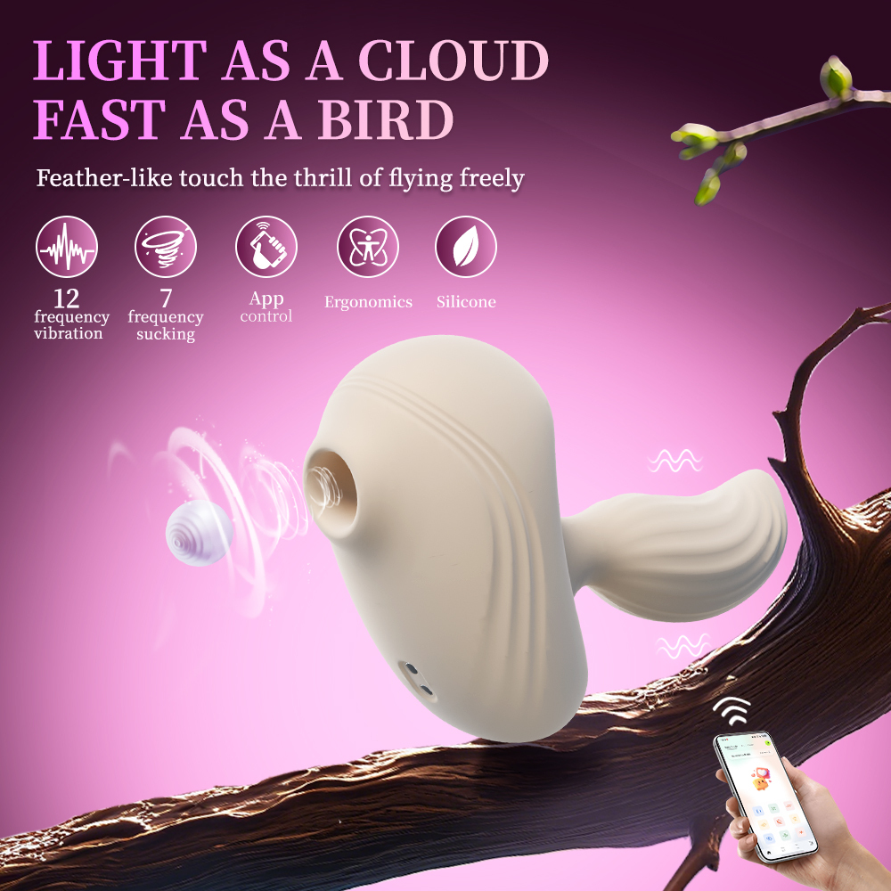 A White  Bird Flying Freely in The Sky