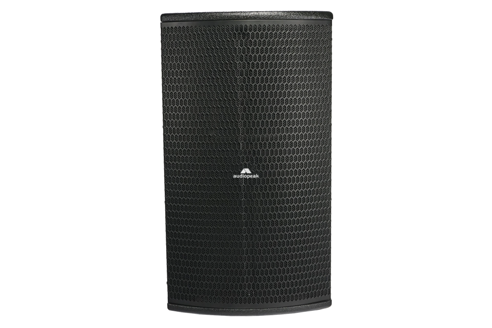 Dan-110P passive loudspeakers
