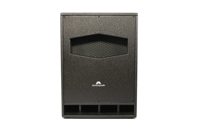 Dan-118P passive subwoofer speakers