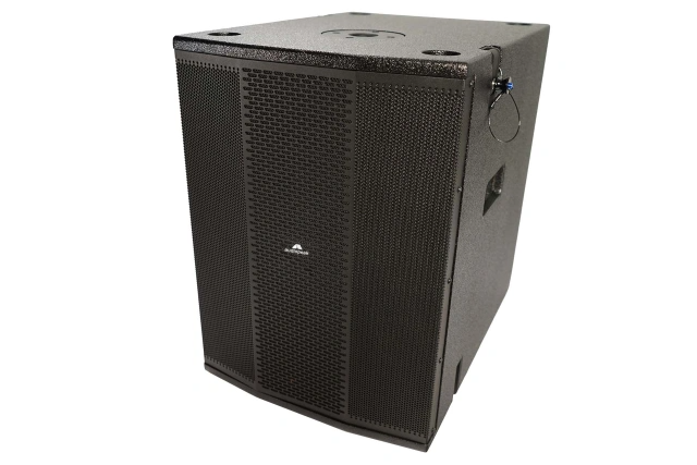 Tran-118S line arrays active subwoofers