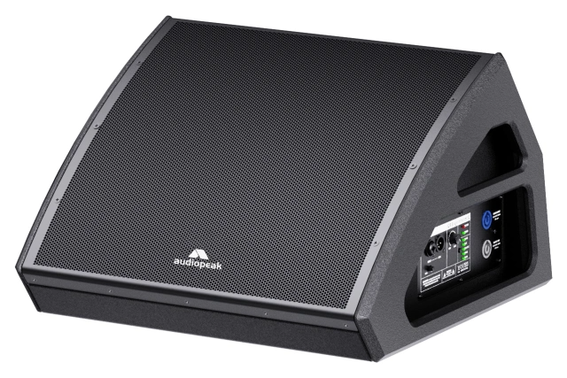 Moni -112A Stage Monitor loudspeaker