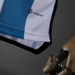 Retro Argentina 2022 Home Jersey