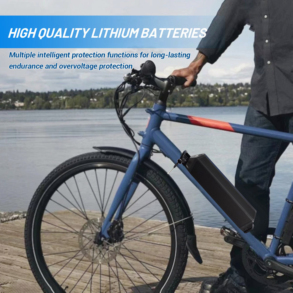 E-Bike Battery Lithium 48 Volt 14Ah 15.6Ah 21Ah Original Reention Dorado Max 48V Ebike Battery Removable Fit for Electric Bike Leisure F-500 NCM Moscow 500W 750W 1000W Motor with 30A BMS, Base Mount, Charger
