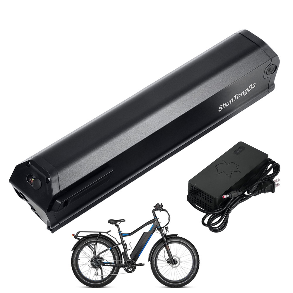 E-Bike Battery Lithium 48 Volt 10.5Ah Original Reention Dorado 48V Ebike Battery Removable Fit for Electric Bicycle Wallke X3 Pro MacWheel Cruiser 250W 350W 500W 750W Motor with E Bike Charger